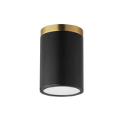 Dapper 7" Flush Mount, Black & Antique Brass Finish - Bees Lighting