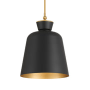 Holloway 20" Pendant, Legacy Brass & Dark Matte Black Finish - Bees Lighting