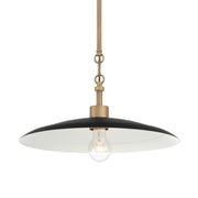 York 16" Pendant, Dark Matte Black with Natural Brass Finish - Bees Lighting