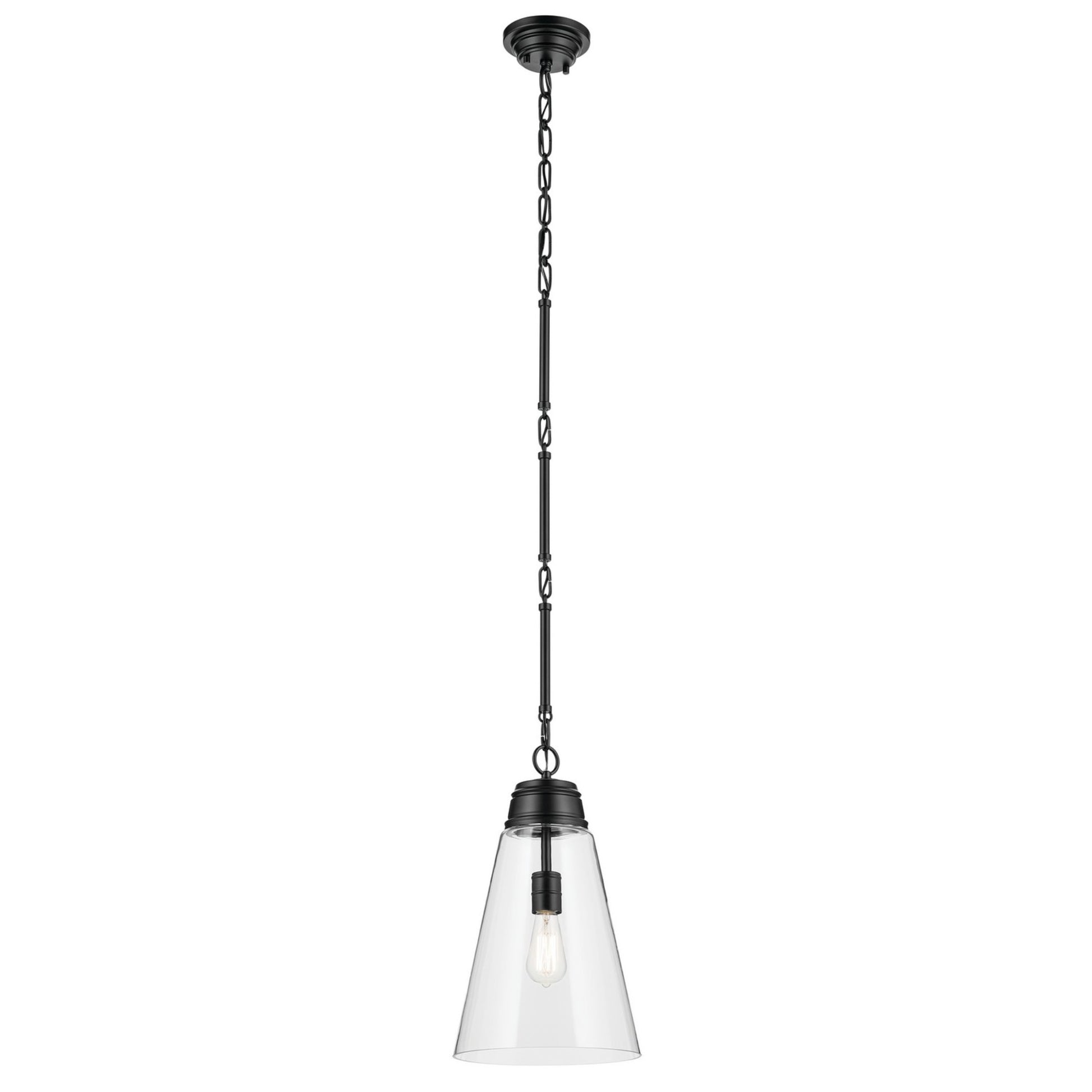 Marsailli 12" Pendant, Black Finish, Clear Glass - Bees Lighting