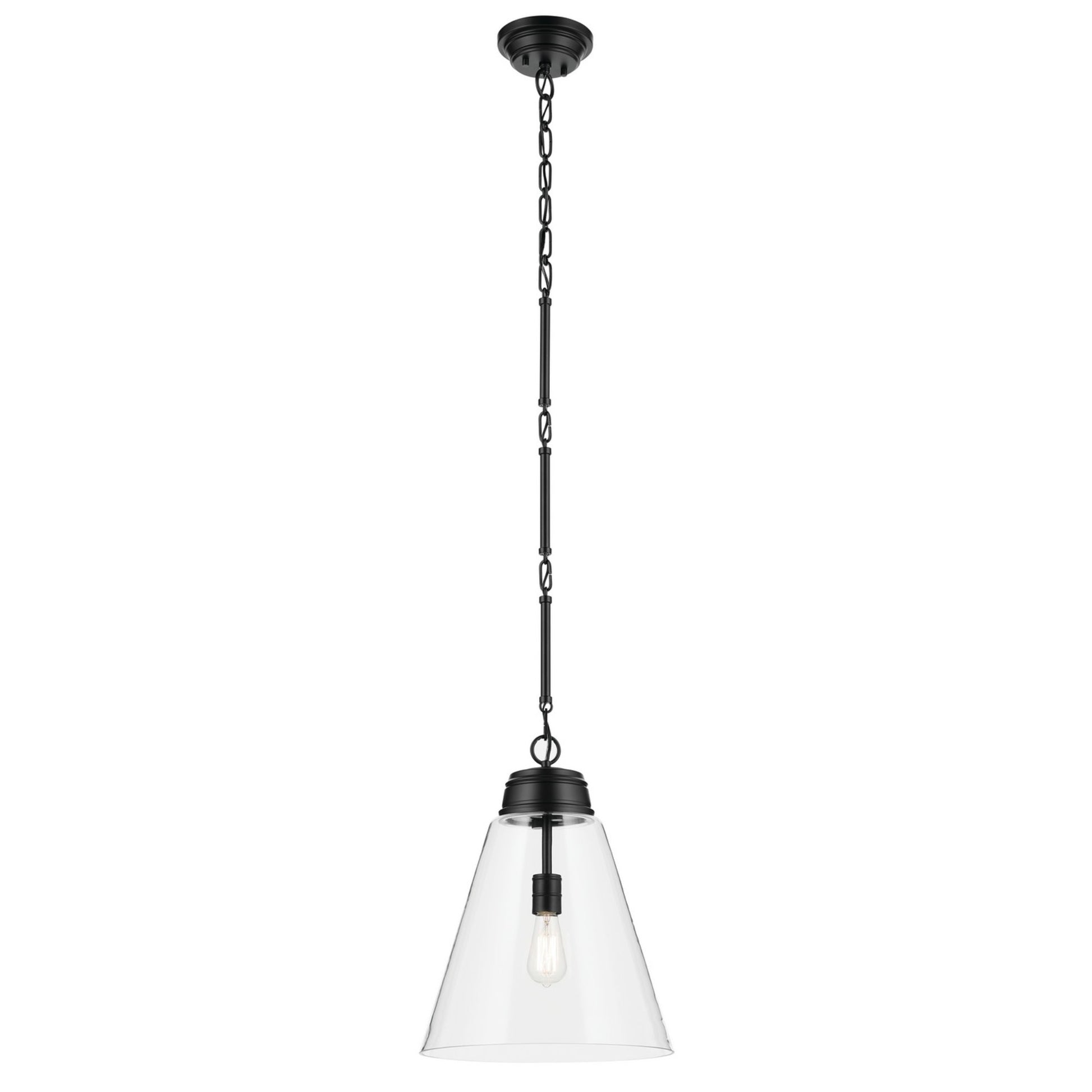 Marsailli 16" Pendant, Black Finish, Clear Glass - Bees Lighting