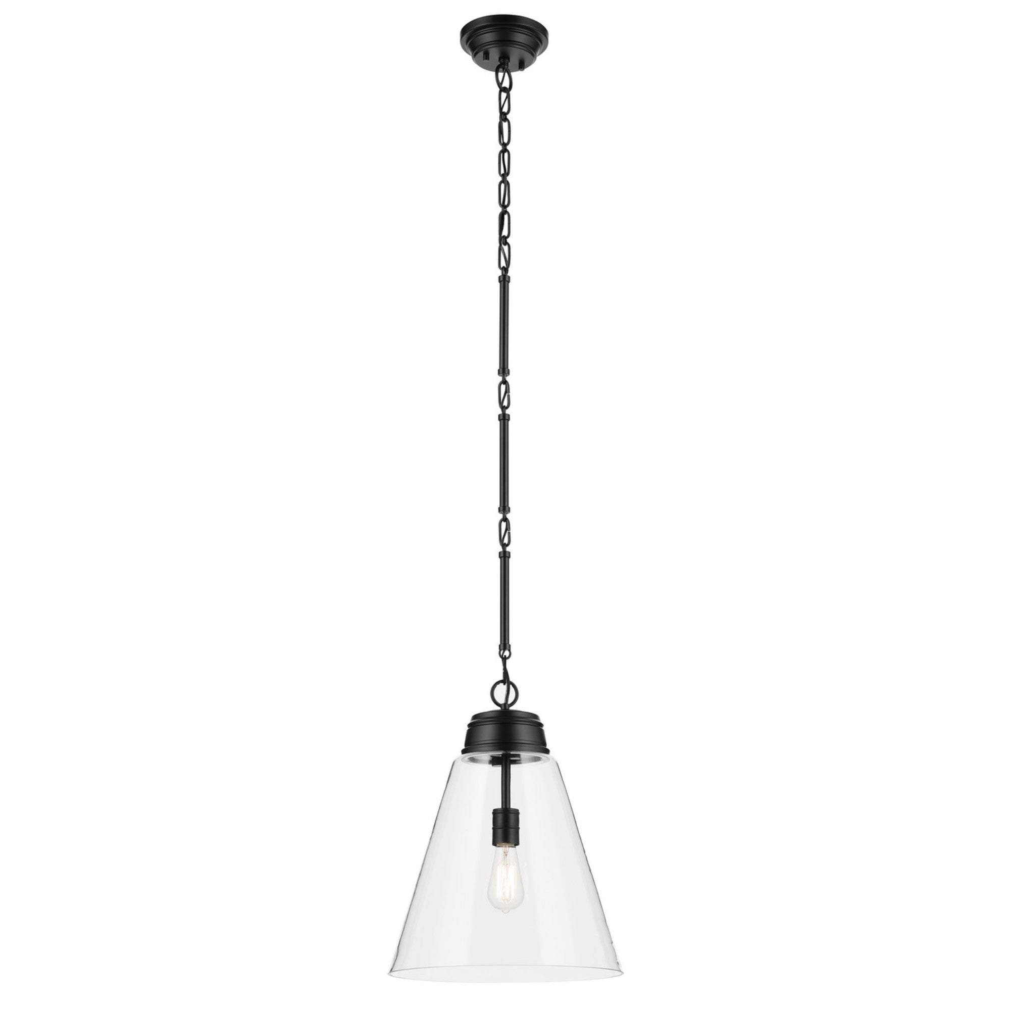 Marsailli 16" Pendant, Black Finish, Clear Glass - Bees Lighting