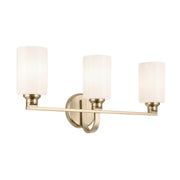 Gioe 24" 3-Light Bath Vanity Light, Champagne Bronze Finish Etched Glass - Bees Lighting