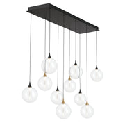 Iissa 10-Light 47" LED Multi Drop Chandelier, Gold & Black Finish with Clear Glass - Bees Lighting