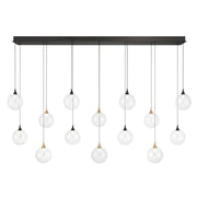 Iissa 14-Light 72" LED Multi Drop Chandelier, Gold & Black Finish with Clear Glass - Bees Lighting