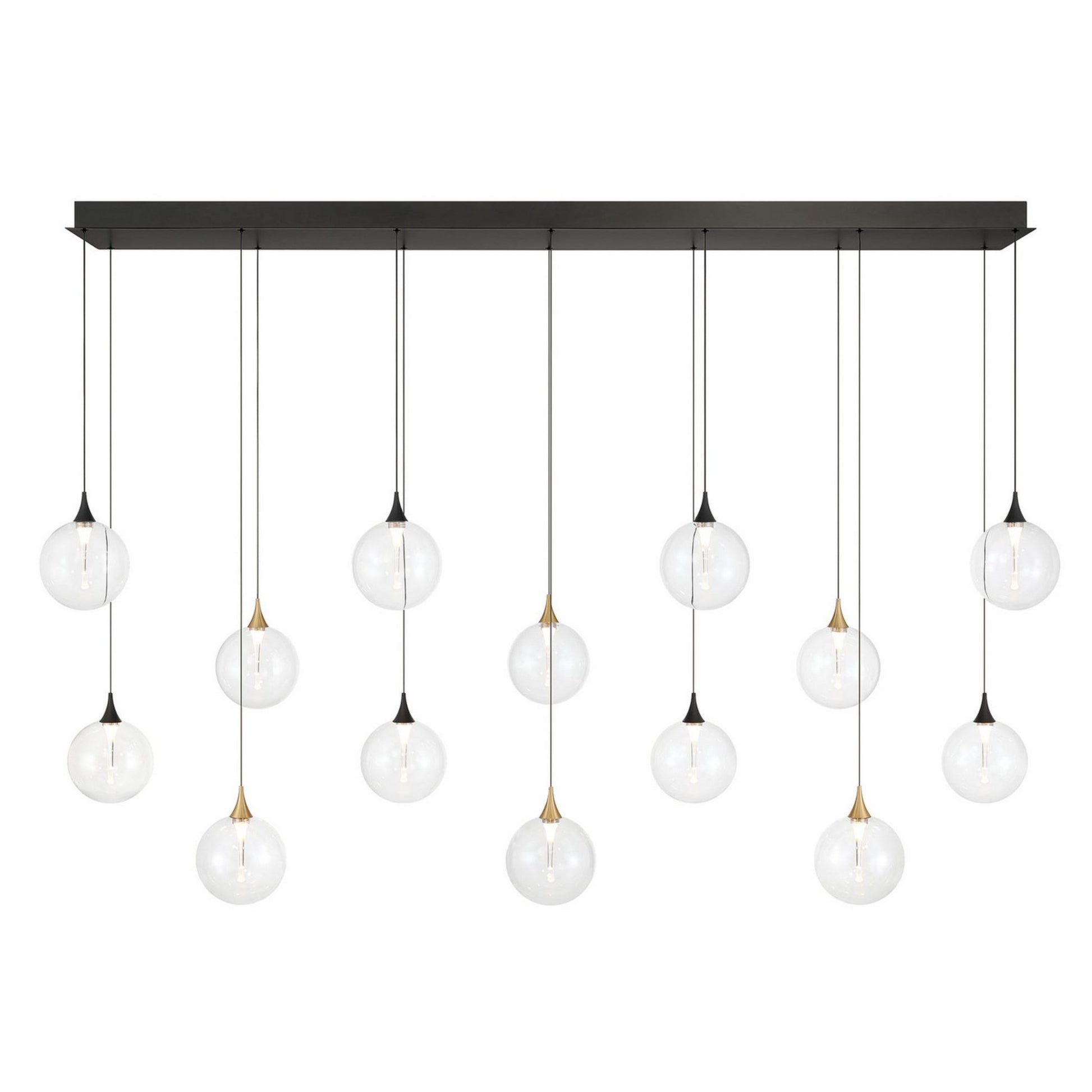 Iissa 14-Light 72" LED Multi Drop Chandelier, Gold & Black Finish with Clear Glass - Bees Lighting