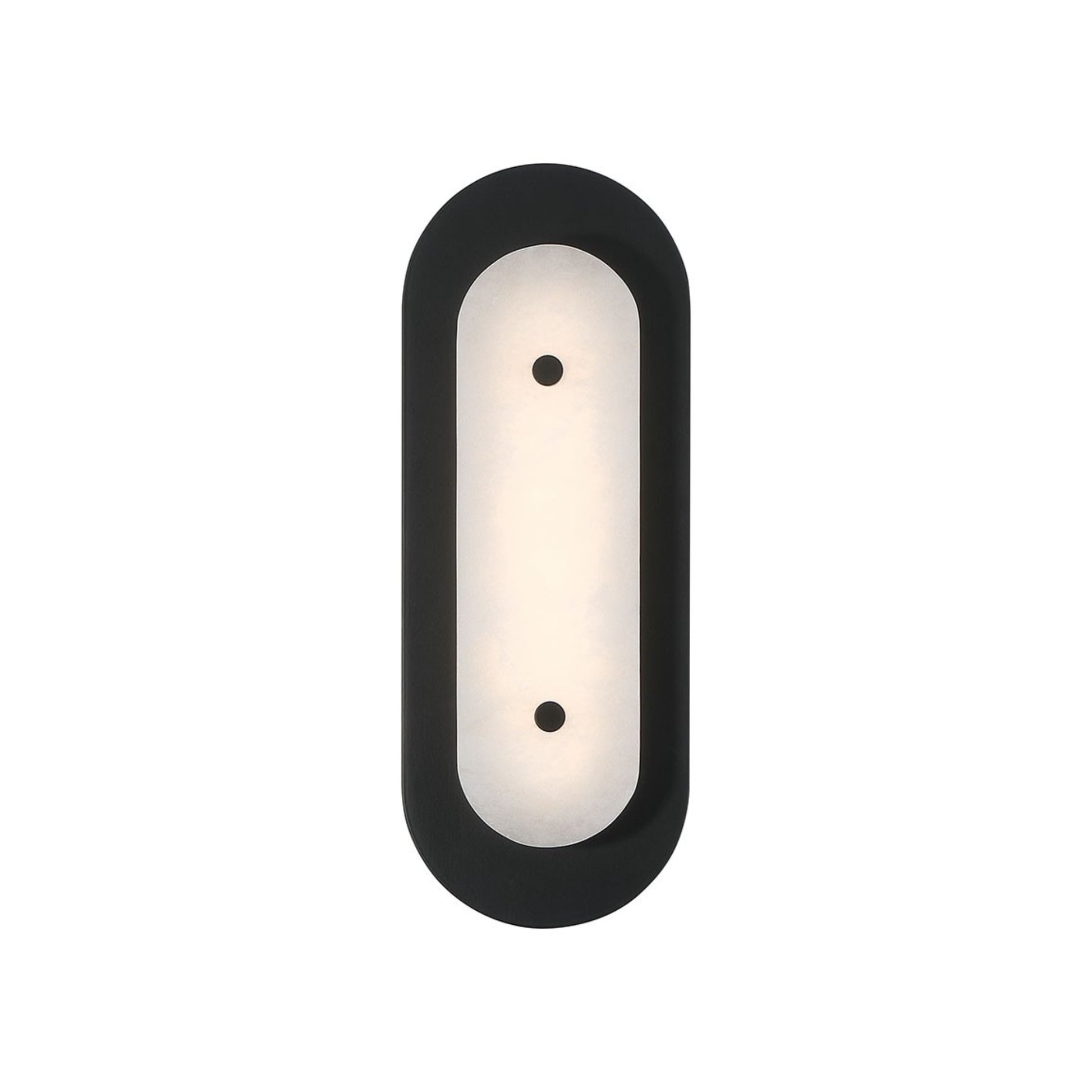 Tramore 16" LED Outdoor Wall Sconce, Black Finish with Alabaster Glass - Bees Lighting