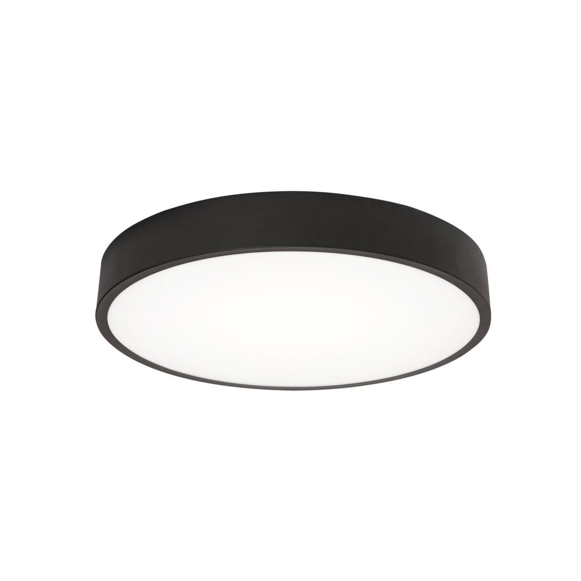 Bailey 14" LED Flush Mount, Black Finish - Bees Lighting