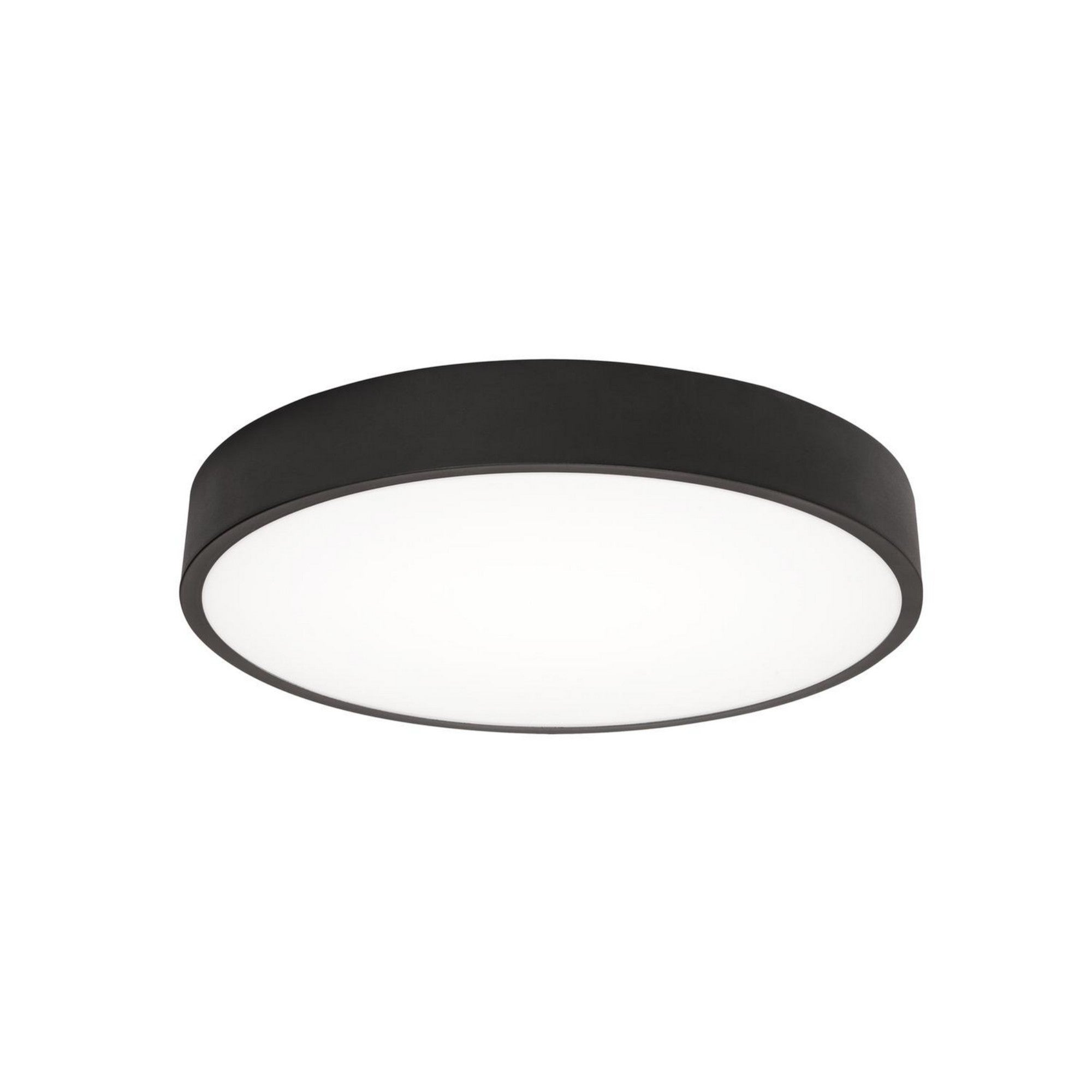 Bailey 14" LED Flush Mount, Black Finish - Bees Lighting