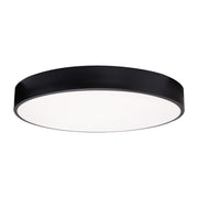 Bailey 19" LED Flush Mount, Black Finish - Bees Lighting