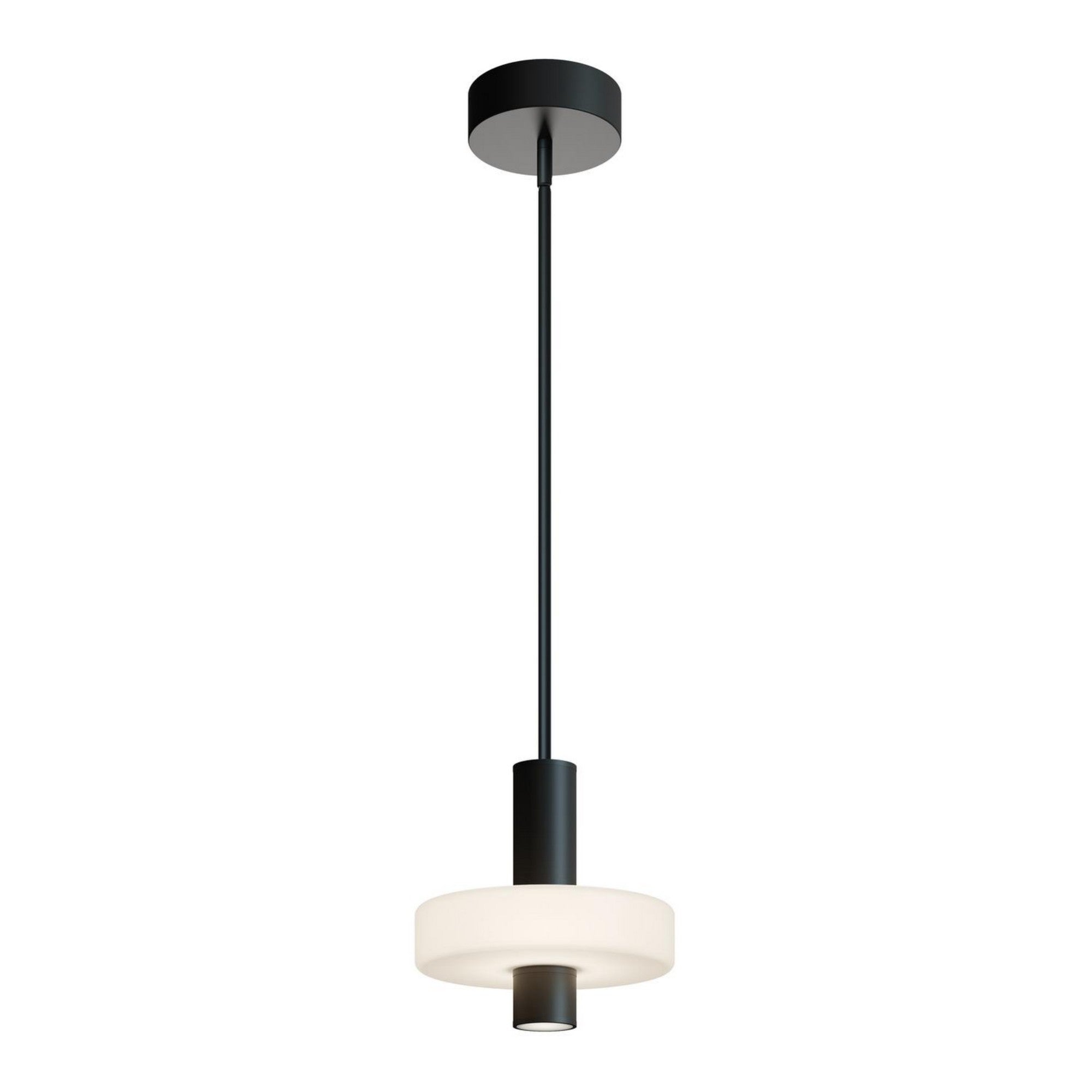 Sydney 10" LED Pendant, Black Finish - Bees Lighting