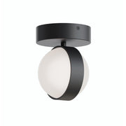Verona 5" LED Flush Mount, Black Finish - Bees Lighting