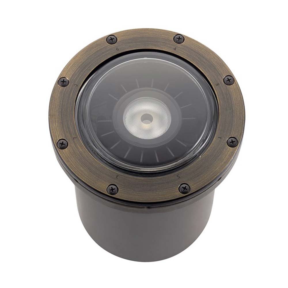 35-Degree Landscape LED In-Ground Light - Bees Lighting