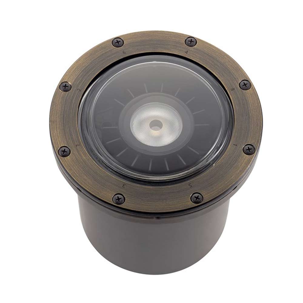 60-Degree Landscape LED In-Ground Light - Bees Lighting