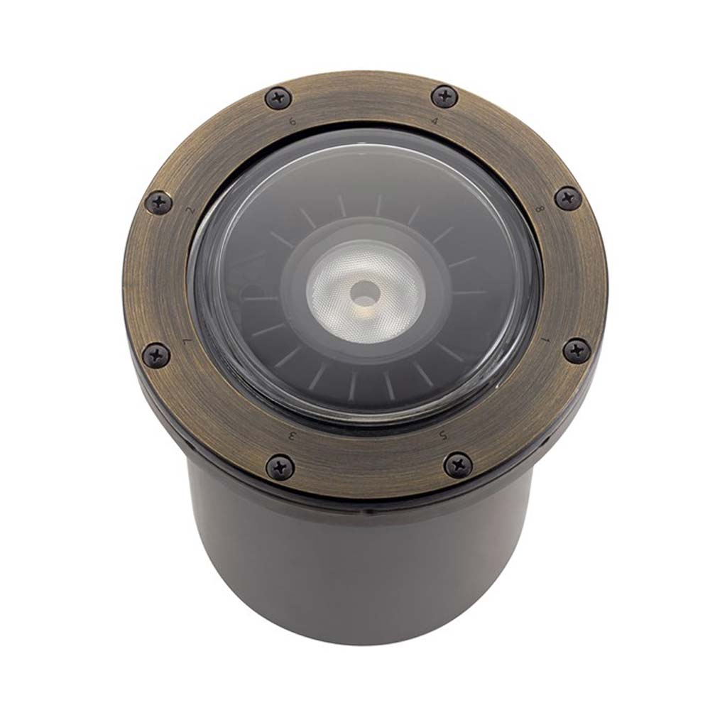 60-Degree Landscape LED In-Ground Light - Bees Lighting
