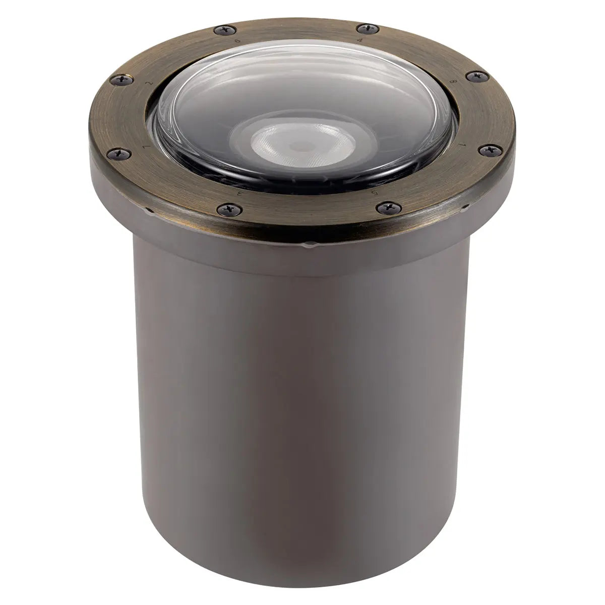 60-Degree Landscape LED In-Ground Light - Bees Lighting