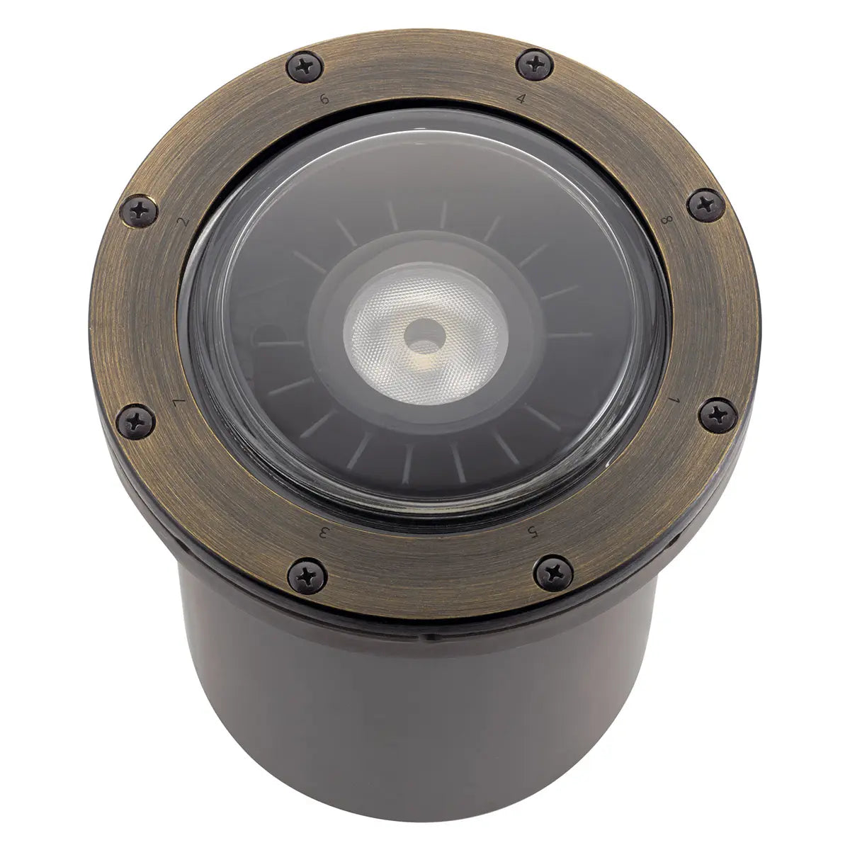 60-Degree Landscape LED In-Ground Light - Bees Lighting