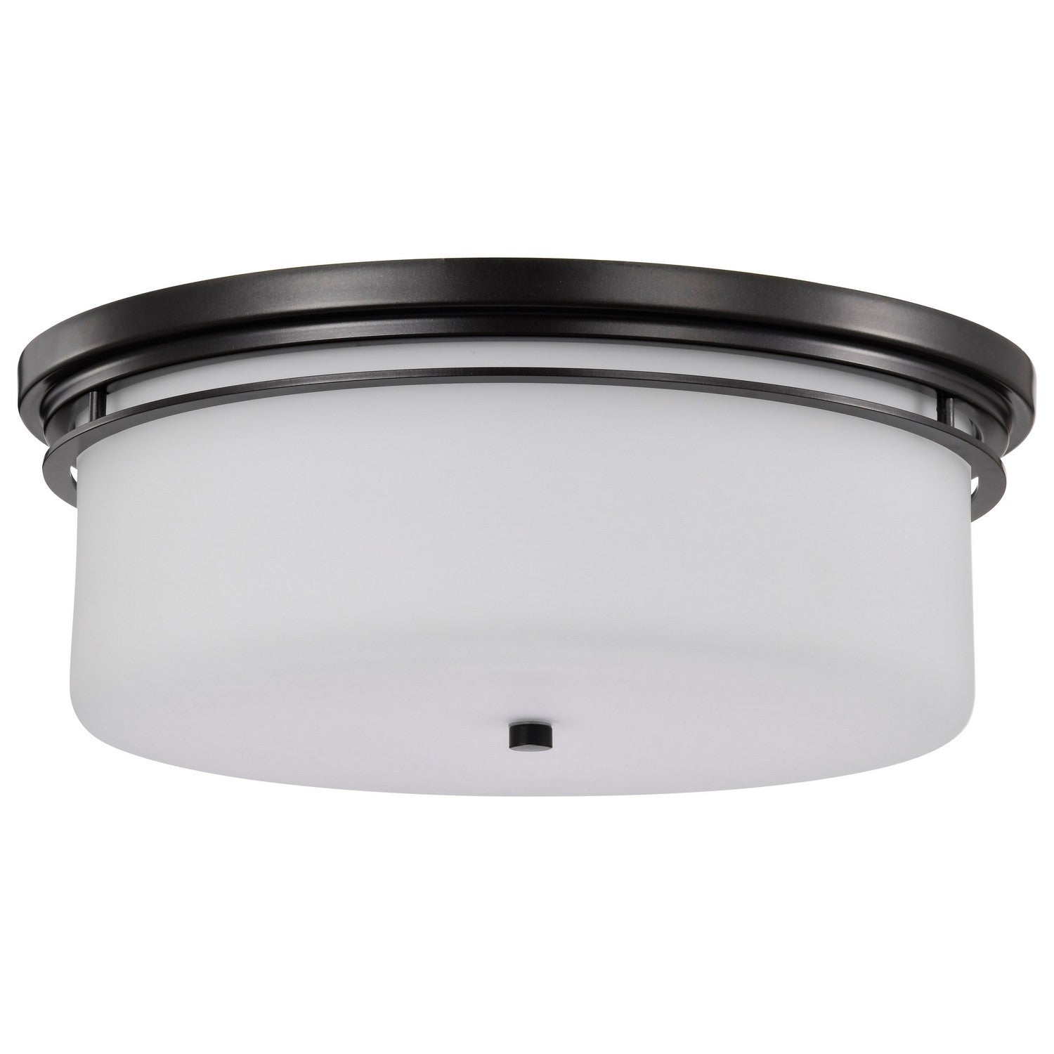 Warren 24" 2 Lights Flush Mount Light, Gun Metal Finish - Bees Lighting