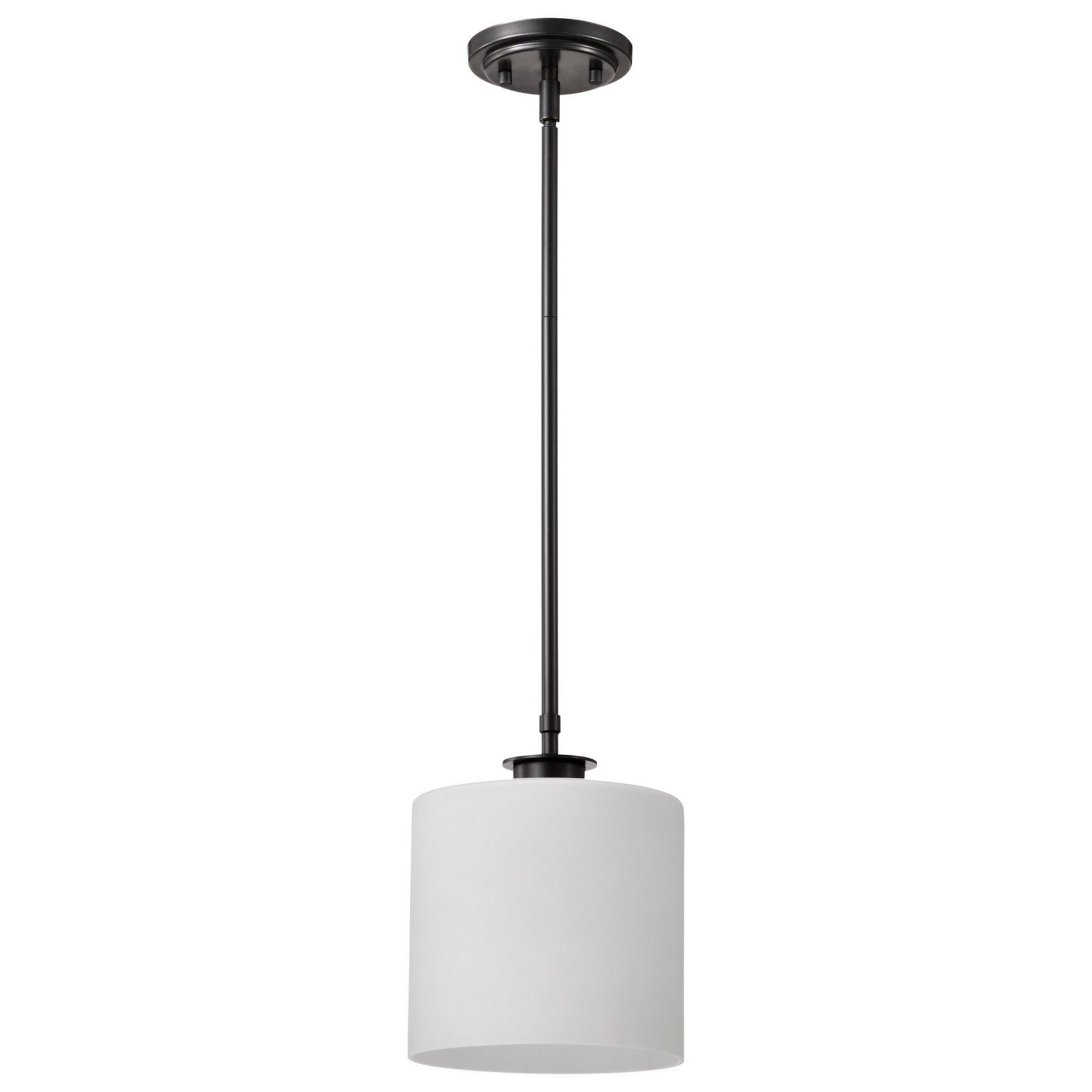 Warren 10" Pendant, Gun Metal Finish - Bees Lighting