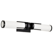Roselle 24" 2 Light Vanity Light, White Glass - Bees Lighting