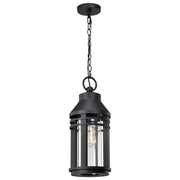 Wilton 20" Outdoor Hanging Light, Matte Black Finish - Bees Lighting