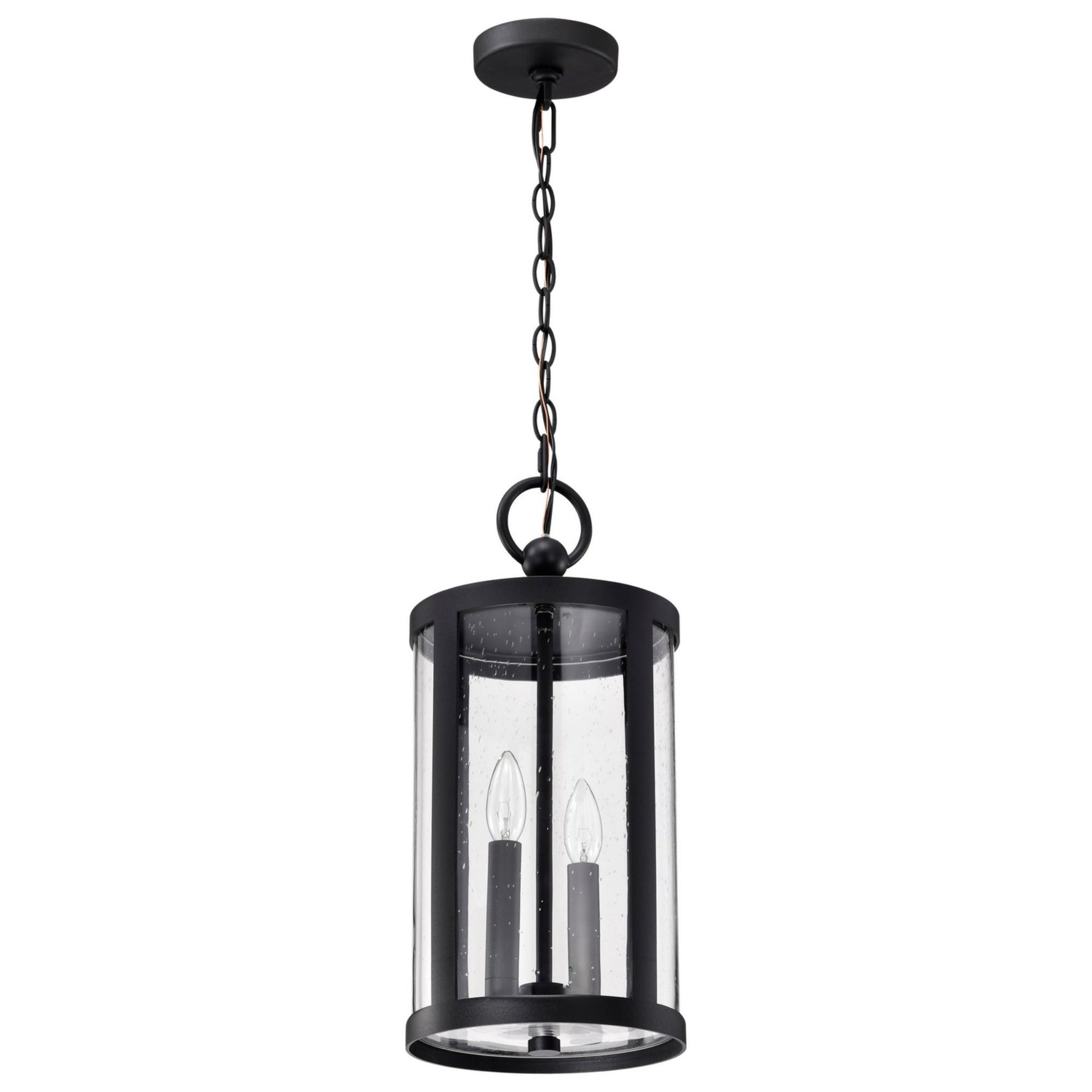 Broadstone 19" 2 Lights Outdoor Hanging Light, Matte Black Finish - Bees Lighting