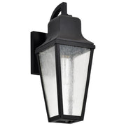 Lawrence 1 Light Outdoor Wall Light, Matte Black Finish, Clear Seeded Glass - Bees Lighting