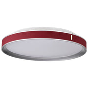 Bandon 20" LED Flush Mount Light, Gray Finish, Acrylic Lens - Bees Lighting