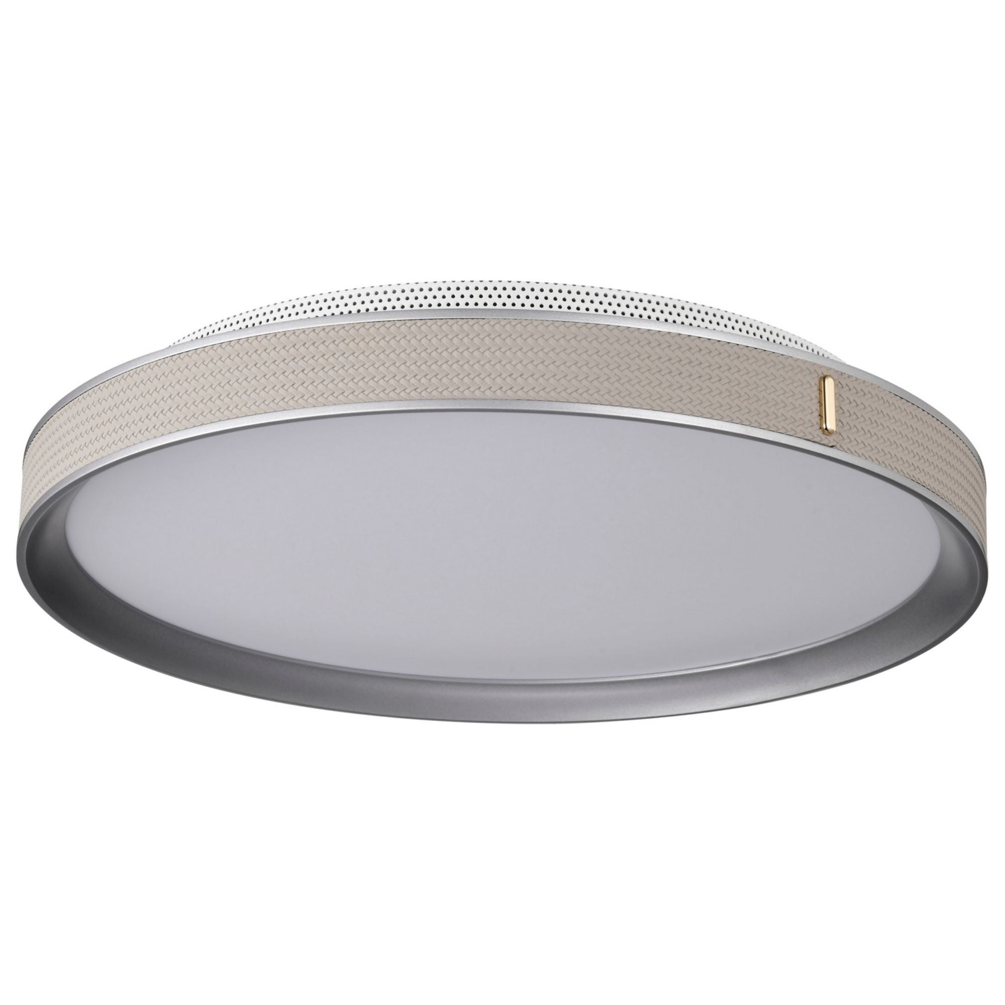 Bandon 20" LED Flush Mount Light, Gray Finish, Acrylic Lens - Bees Lighting