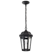East River 15" Smart LED Outdoor Hanging Light, RGBTW, Matte Black Finish - Bees Lighting