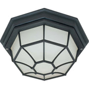 11 In. Outdoor Spider Cage Flush Mount, Glass Lens - Bees Lighting