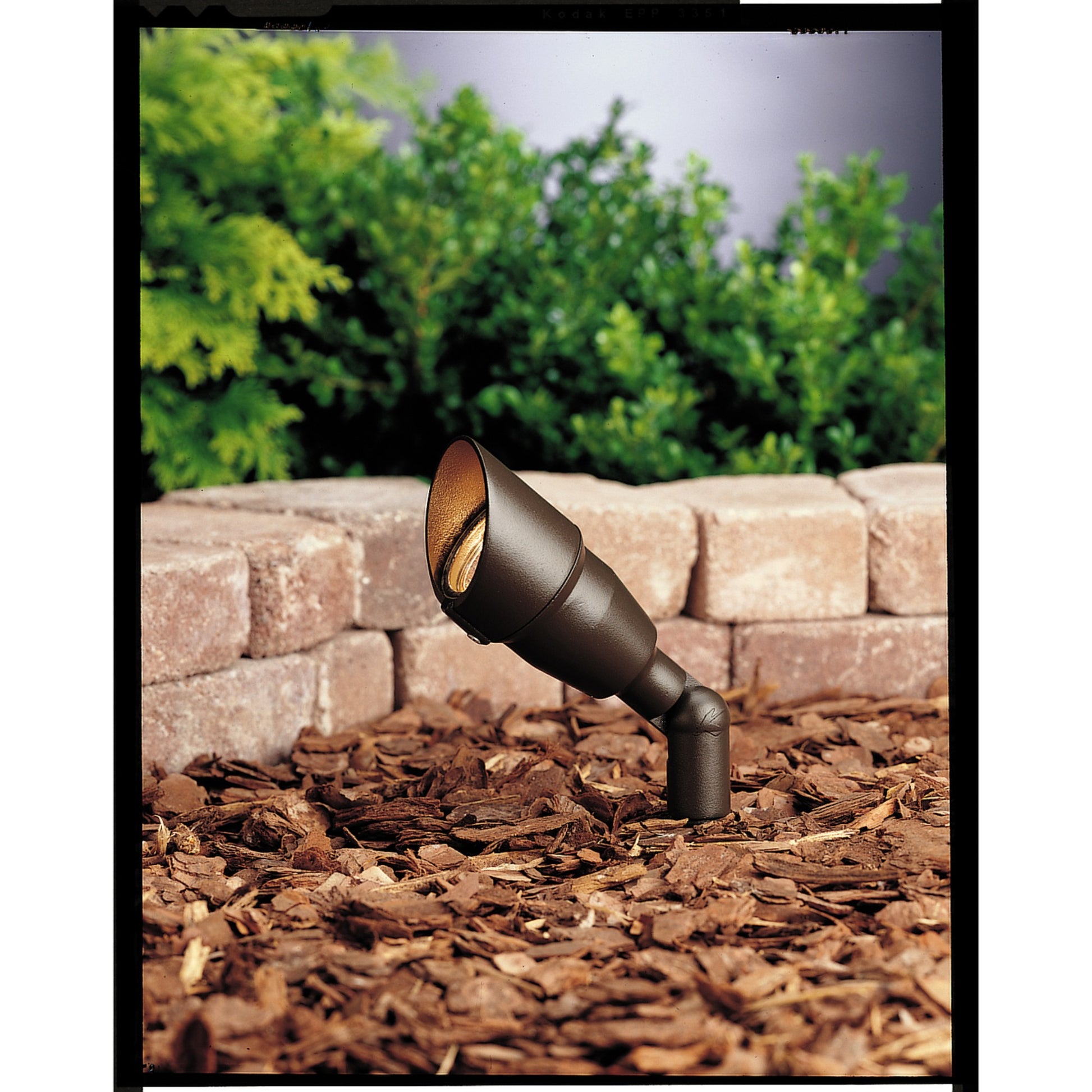 Mini MR16 Spotlight - Bees Lighting