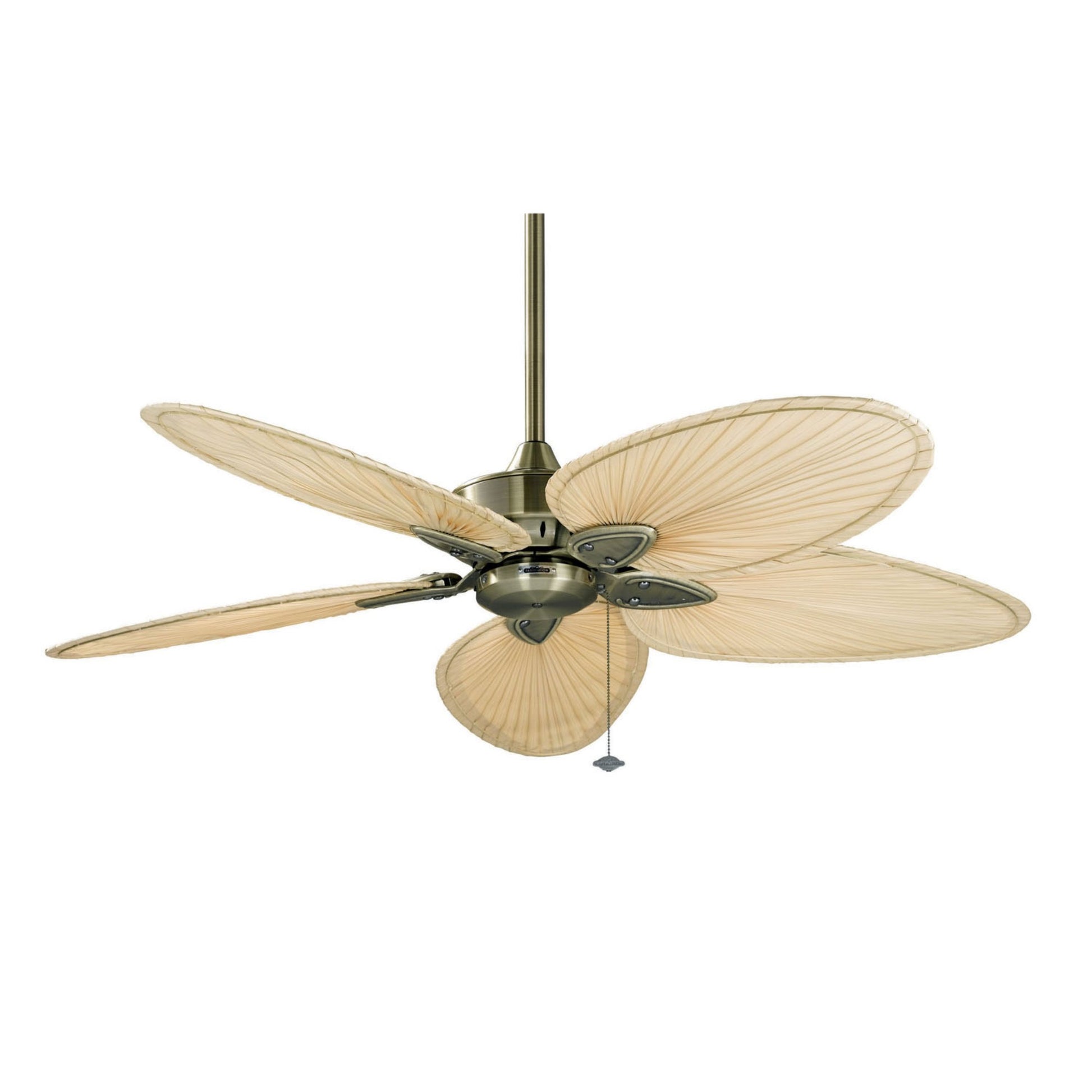 Windpointe 52" Ceiling Fan - Bees Lighting