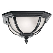 Salisbury 14" 2-Light Outdoor Ceiling Light, Black Finish - Bees Lighting