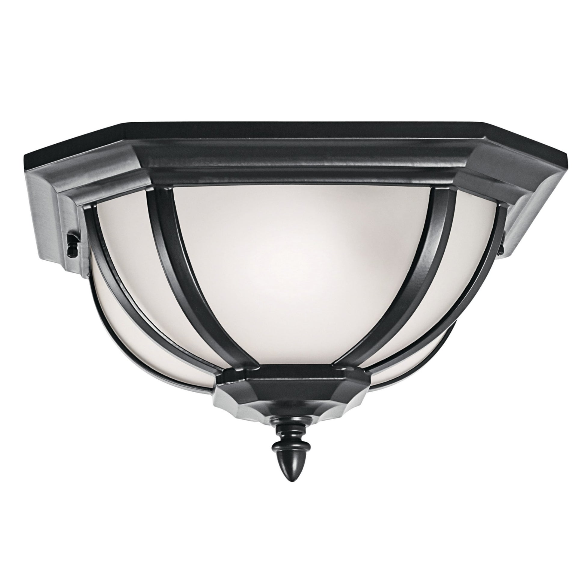 Salisbury 14" 2-Light Outdoor Ceiling Light, Black Finish - Bees Lighting