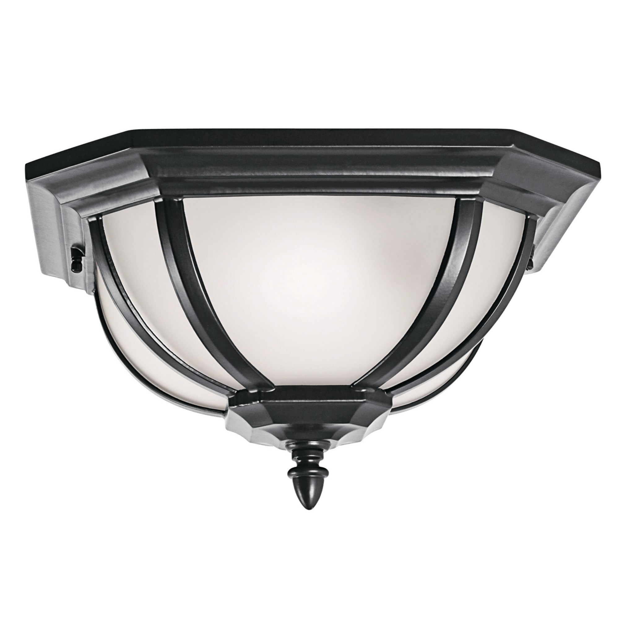 Salisbury 14" 2-Light Outdoor Ceiling Light, Black Finish - Bees Lighting