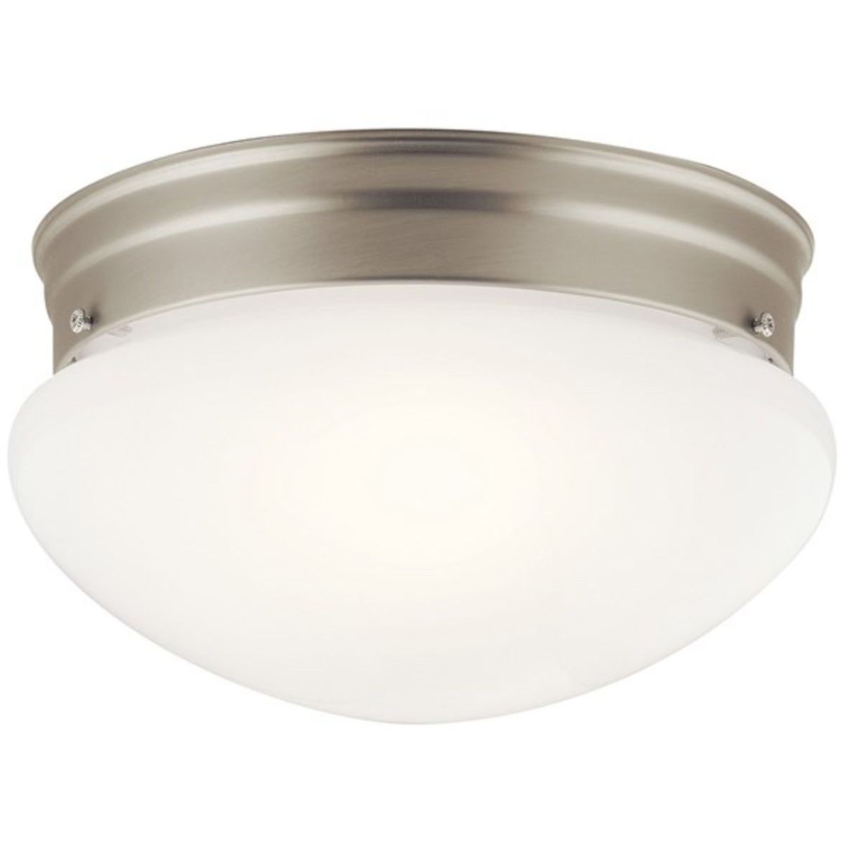 Ceiling Space 9" 2 Lights Puff Light