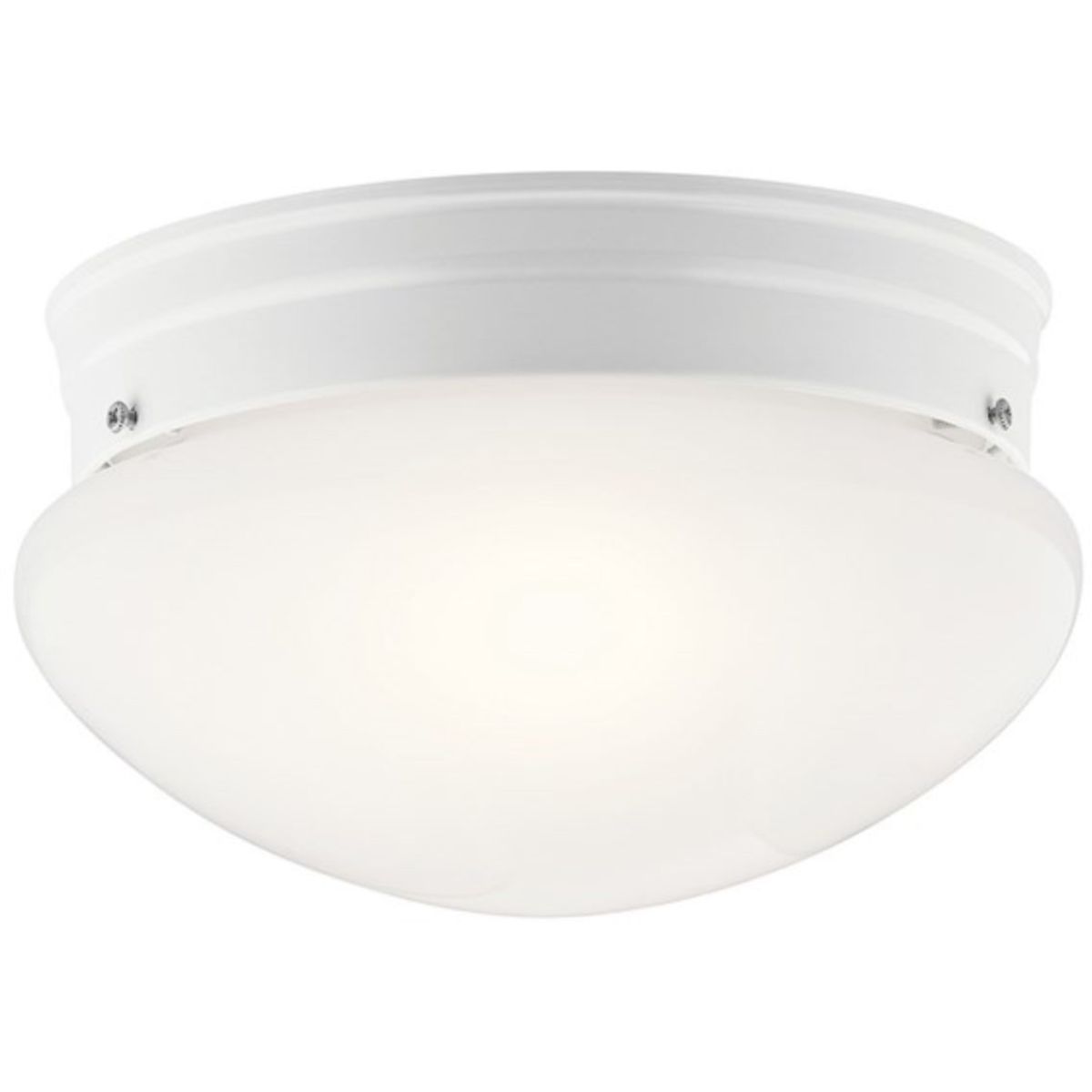 Ceiling Space 9" 2 Lights Puff Light