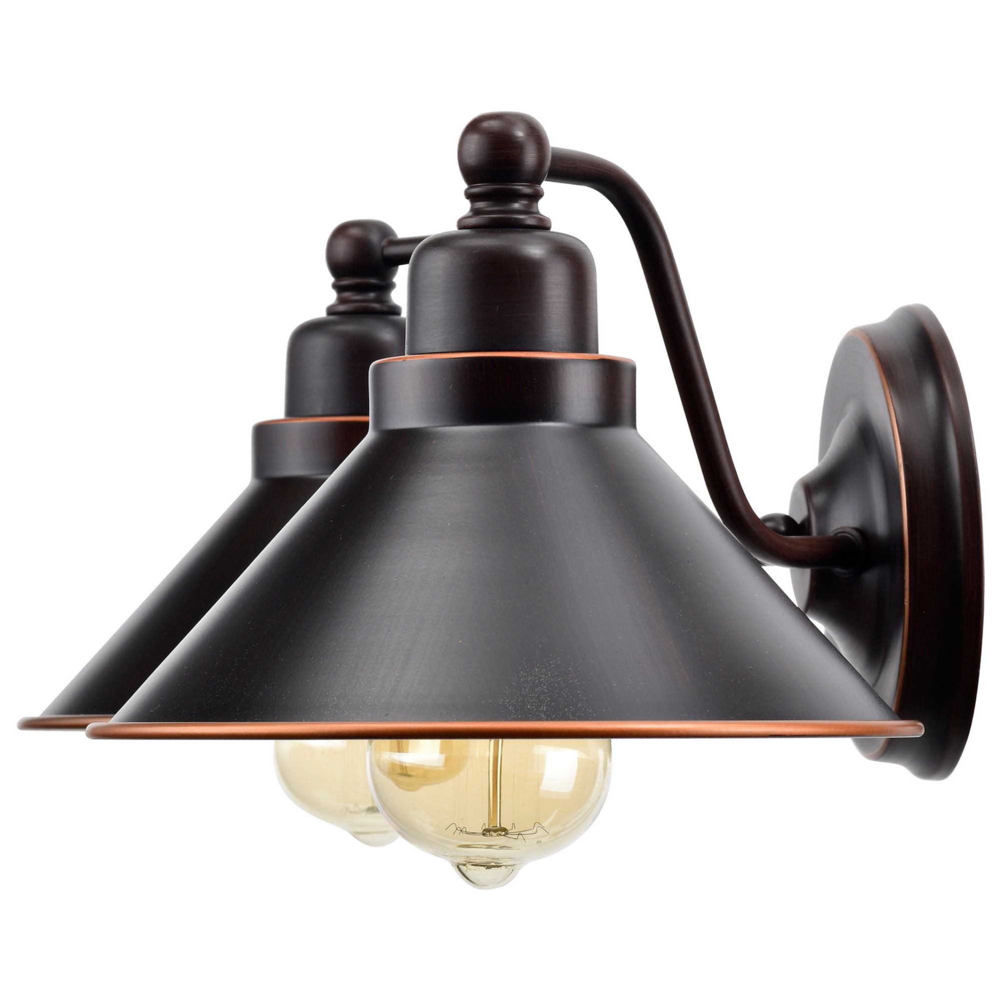 Bridgeview 20 in. 2 Lights Vanity Light Bronze Finish