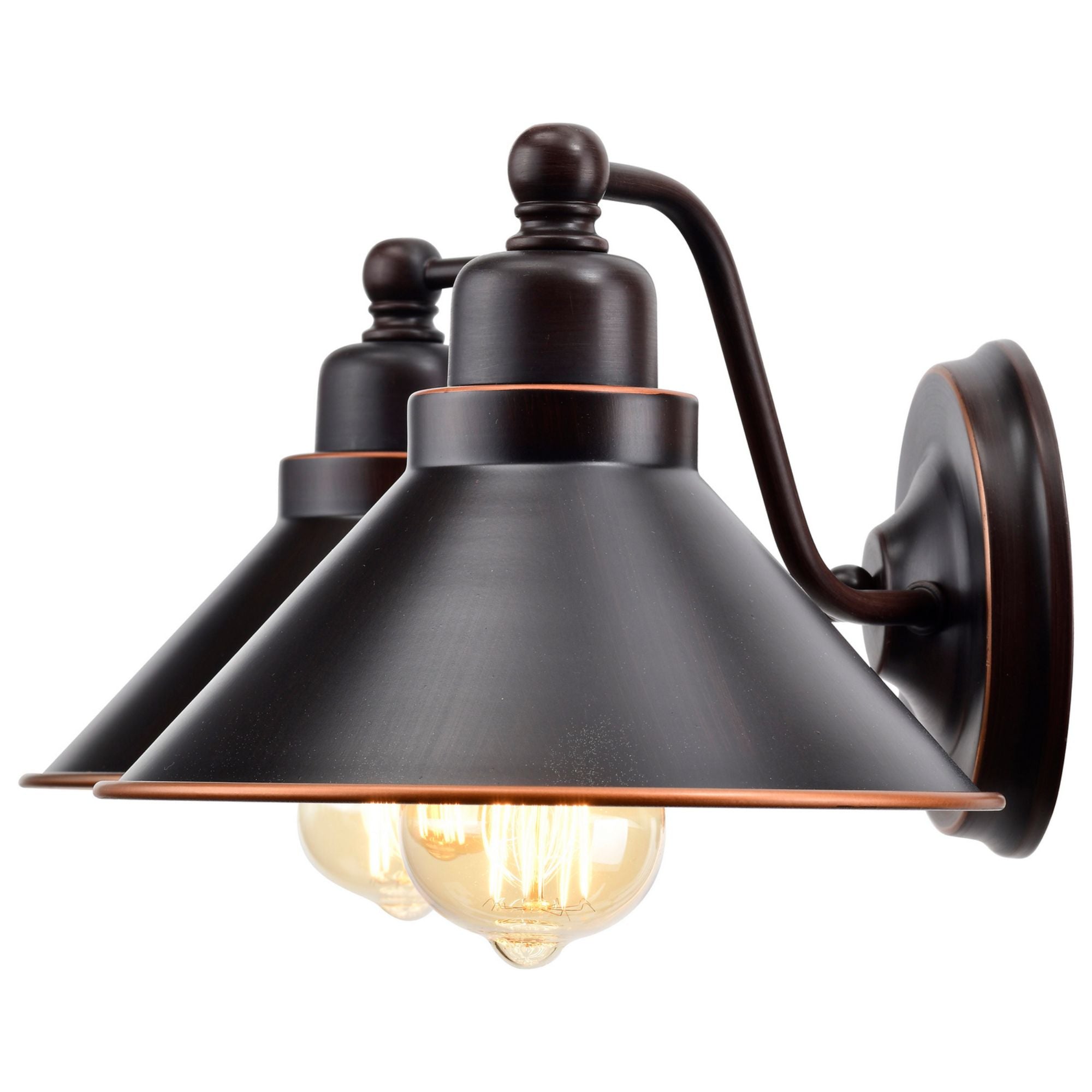 Bridgeview 20 in. 2 Lights Vanity Light Bronze Finish