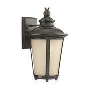 Cape May 16" Medium Outdoor Wall Lantern, Burled Iron Finish - Bees Lighting