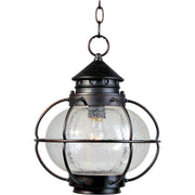 Portsmouth 14" Outdoor Hanging Lantern, Oil Rubbed Bronze Finish - Bees Lighting