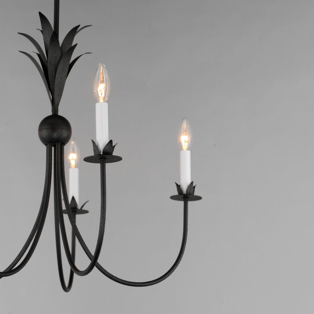 Paloma 26 in. 5 Lights Chandelier Black Finish - Bees Lighting