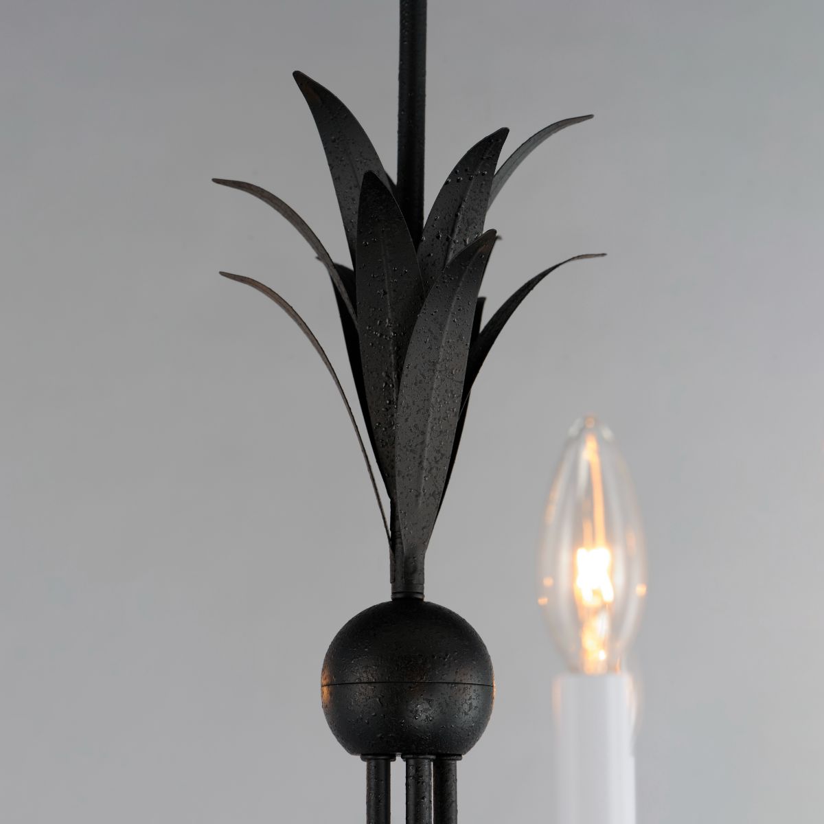 Paloma 26 in. 5 Lights Chandelier Black Finish - Bees Lighting