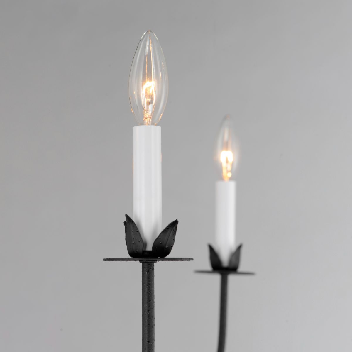 Paloma 26 in. 5 Lights Chandelier Black Finish - Bees Lighting