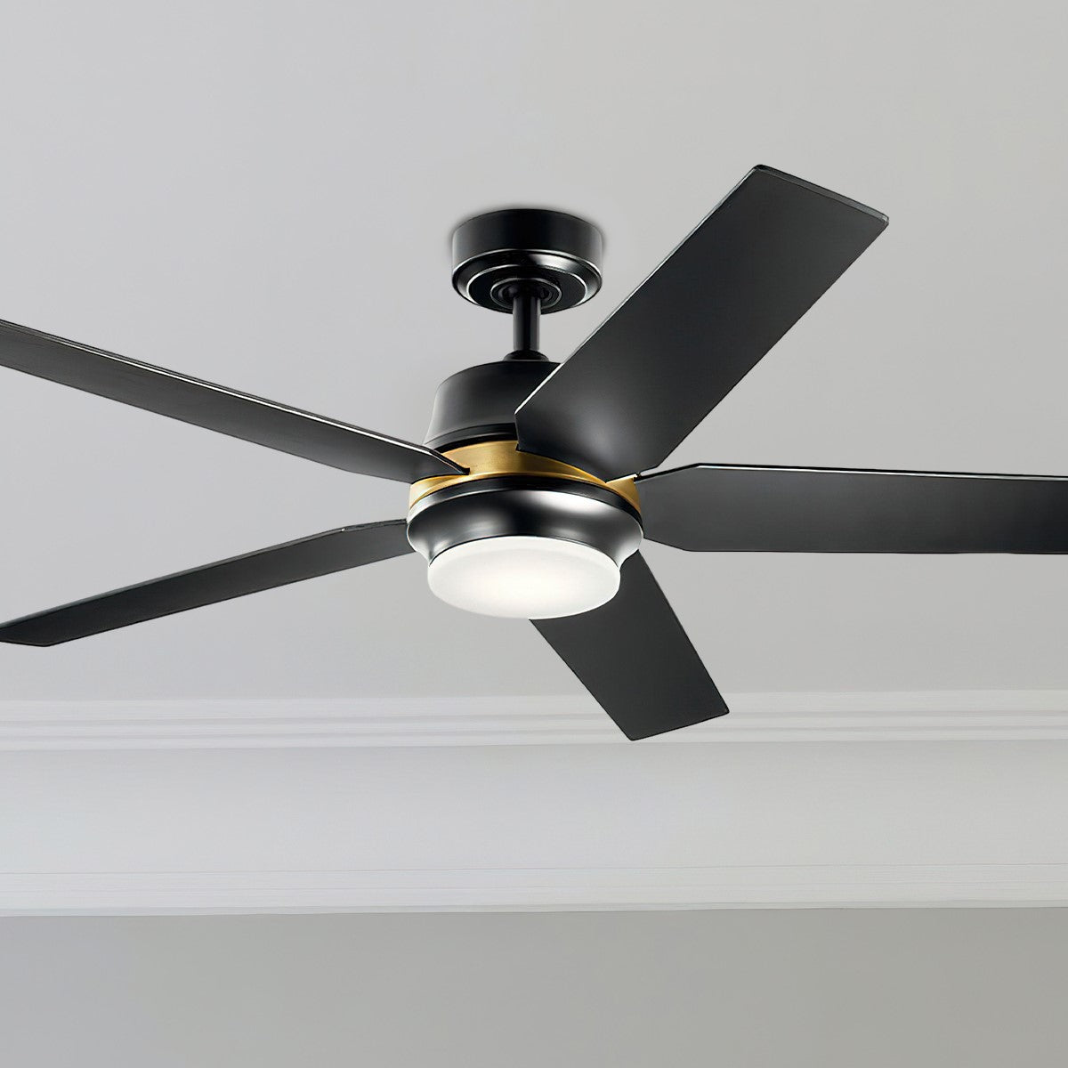 Maeve 52 Inch Modern Ceiling Fan With Light And Remote - Bees Lighting