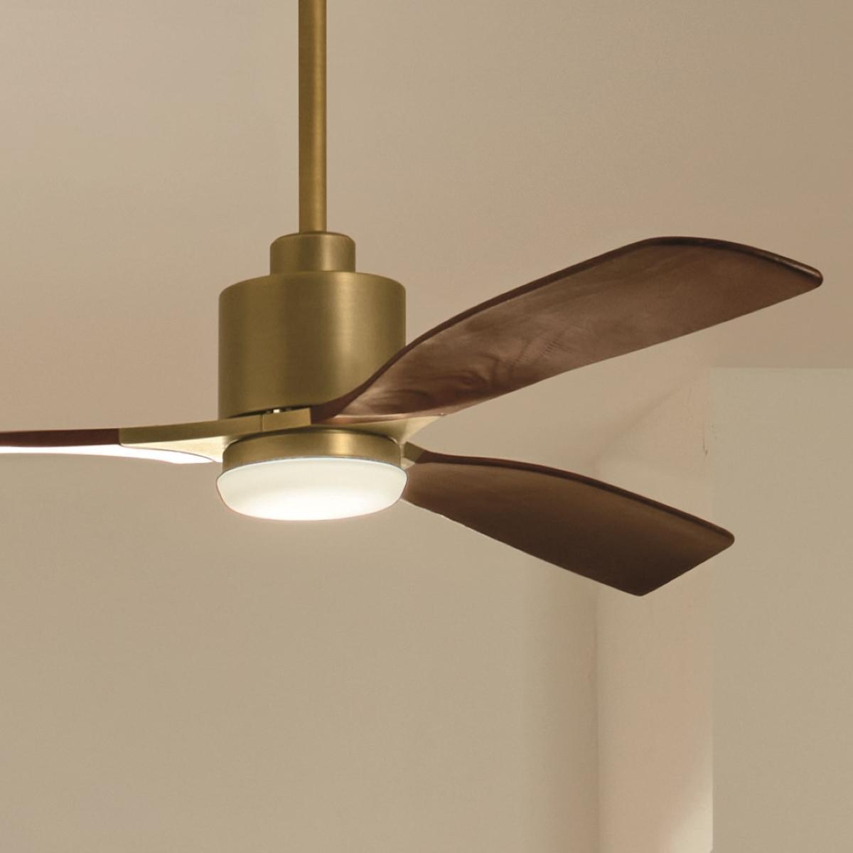 Ridley II 60 Inch Brushed Natural Brass Indoor LED Ceiling Fan with Wall Control - Bees Lighting