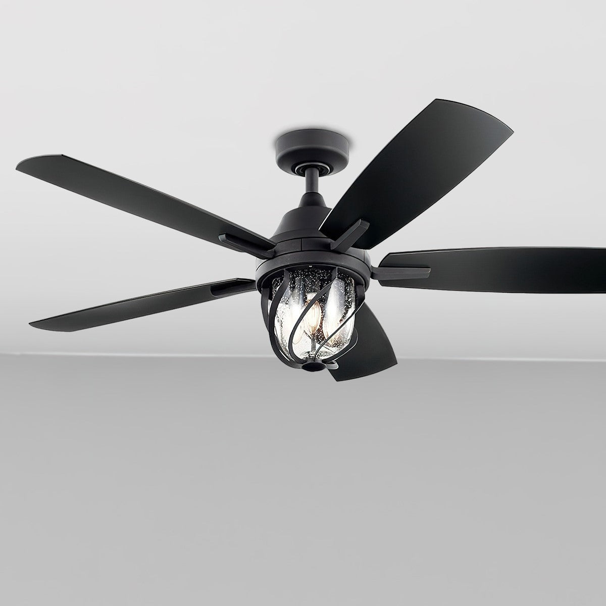 Lydra 52 Inch Distressed Black Damp Rated Cage LED Ceiling Fan with Remote - Bees Lighting