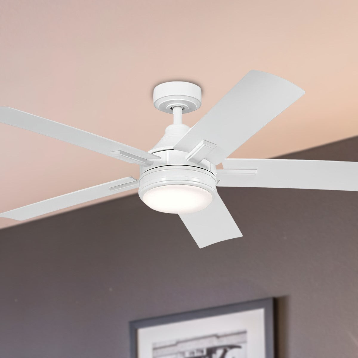 Tide 52 Inch White LED Damp Rated Ceiling Fan with Remote - Bees Lighting