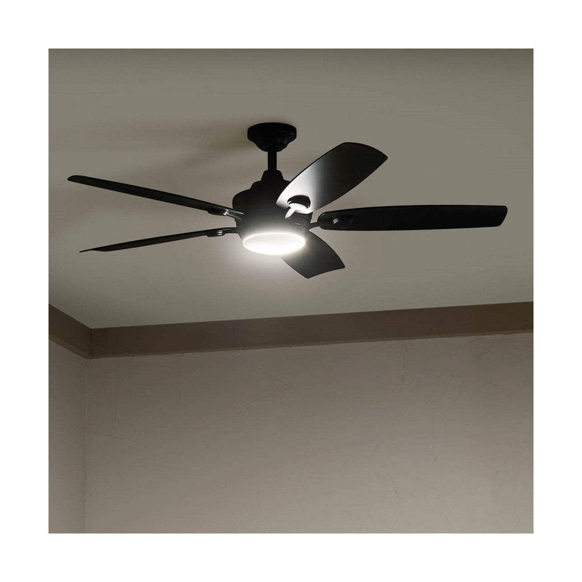 Tranquil 56 Inch Satin Black LED Damp Rated Ceiling Fan with Remote - Bees Lighting